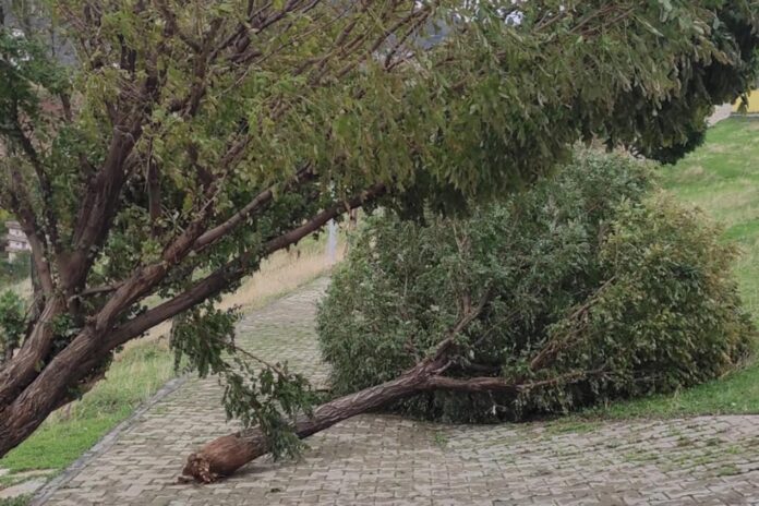 Meteorolojiden kuvvetli rüzgâr uyarısı