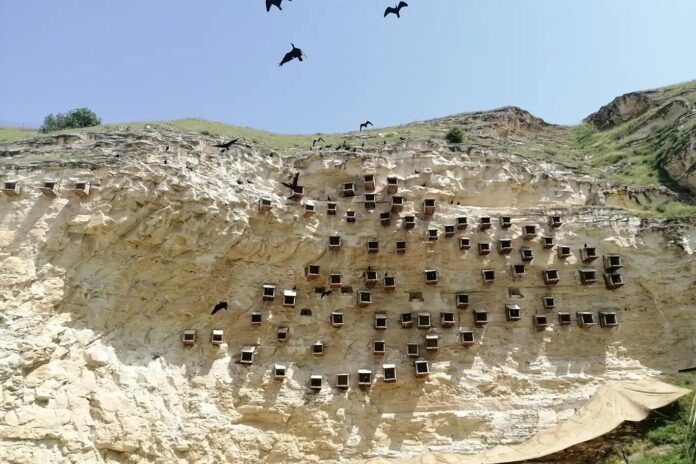 Şanlıurfa'da 