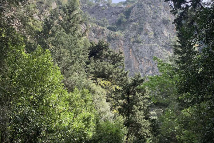 Çanakkale'de ormanlık alanlara giriş yasağı