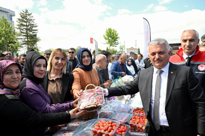 Çiftçilere tohum, fide ve zirai ekipman dağıtıldı