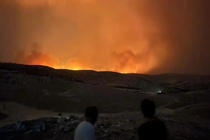 Diyarbakır ve Mardin'deki anız yangınında can kaybı 11'e yükseldi