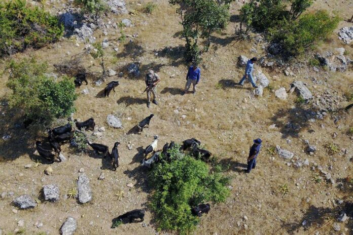 Kaybolan sürü bulunarak sahibine teslim edildi