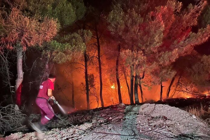 Siirt Valiliği’nden ormanlık alanlara giriş yasağı