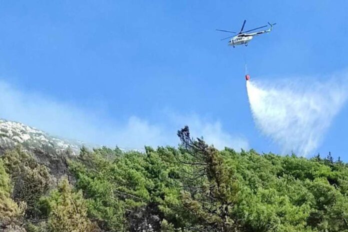 Bakan Yumaklı: Dün çıkan 48 yangının tamamı kontrol altına alındı