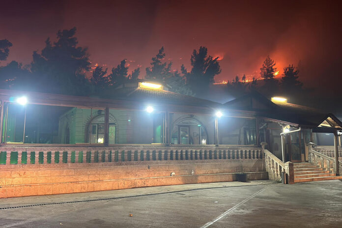 Şanlıurfa'da gece çıkan orman yangını korkuttu!