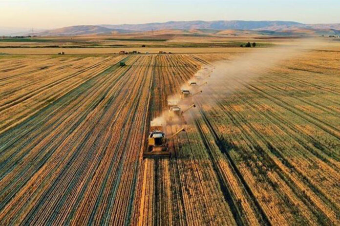 Türkiye’nin tarımsal hasılası 68,5 milyar dolara ulaştı